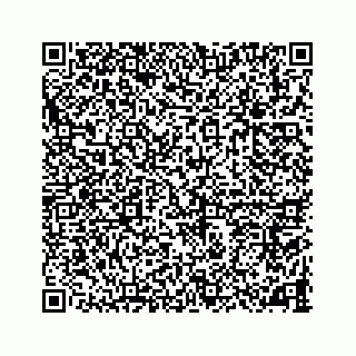 vCard 78787833225