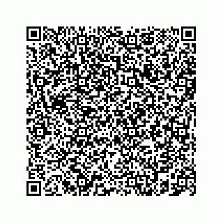 vCard 78787833227