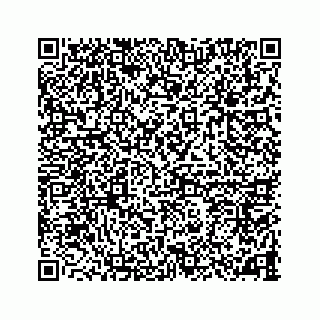 vCard 78787833229