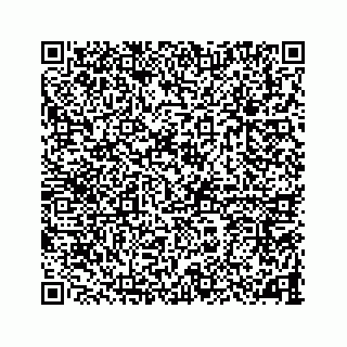 vCard 78787833231