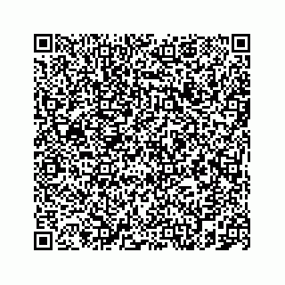 vCard 78787833237