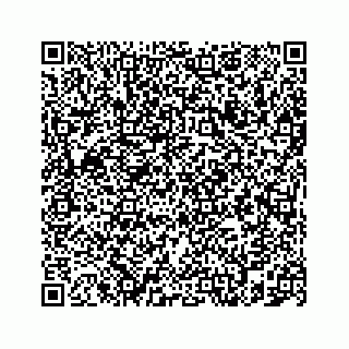 vCard 78787833239