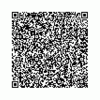 vCard 78787833241