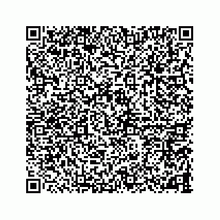 vCard 78787833248