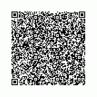 vCard 78787833249