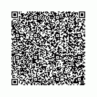 vCard 78787833251