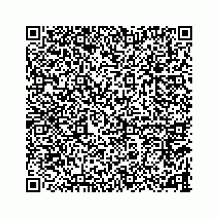 vCard 78787833253