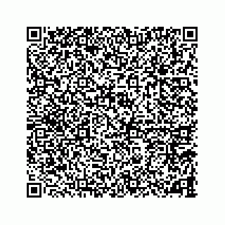 vCard 78787833254