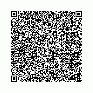 vCard 78787833259