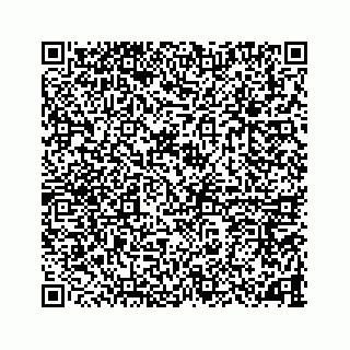 vCard 78787833261