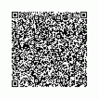 vCard 78787833263