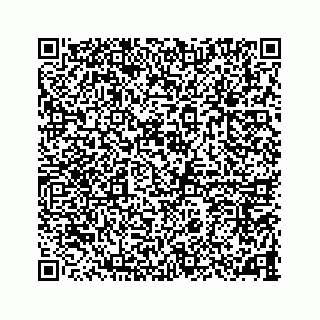 vCard 78787833264