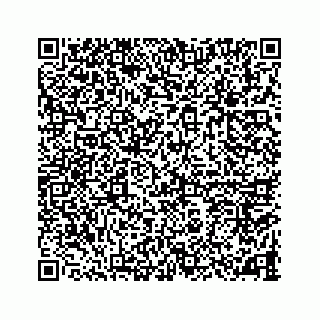 vCard 78787833265
