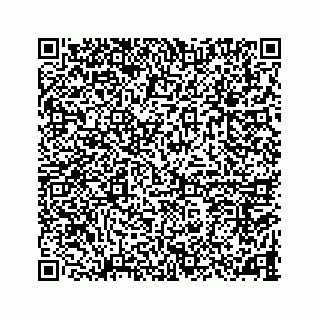 vCard 78787833269