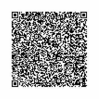 vCard 78787833271