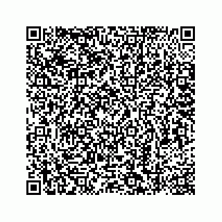 vCard 78787833273