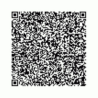 vCard 78787833276