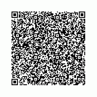 vCard 78787833278