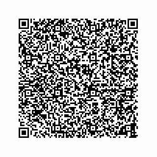 vCard 78787833280