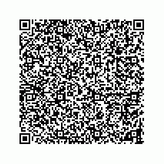 vCard 78787833281