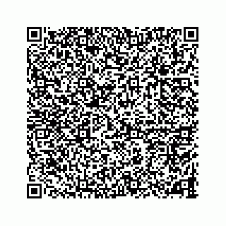 vCard 78787833285