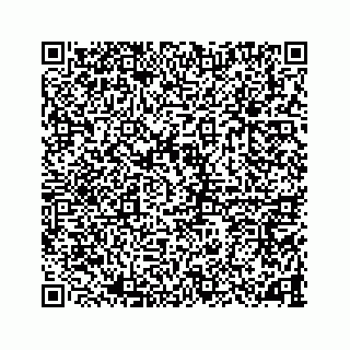 vCard 78787833286
