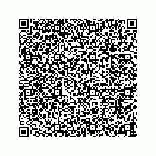 vCard 78787833287