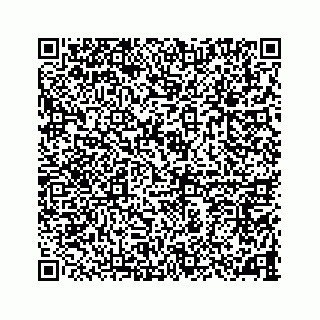 vCard 78787833289