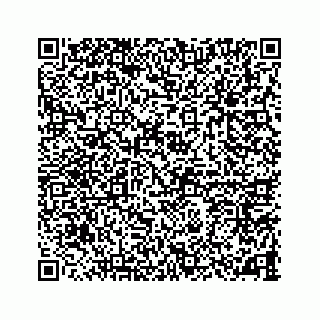 vCard 78787833290