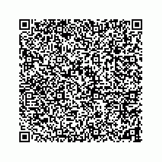 vCard 78787833293