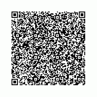 vCard 78787833294