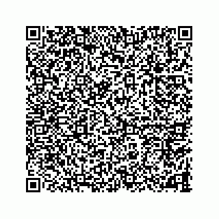 vCard 78787833295