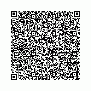 vCard 78787833296
