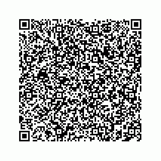 vCard 78787833298