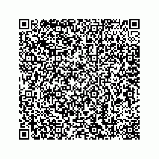 vCard 78787833299