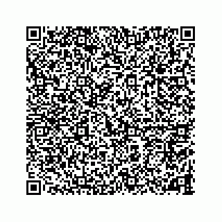 vCard 78787833300