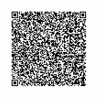 vCard 78787833308