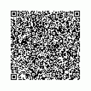 vCard 78787833311
