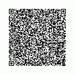 vCard 78787833313