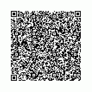 vCard 78787833315
