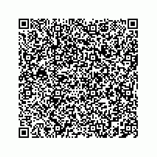 vCard 78787833317