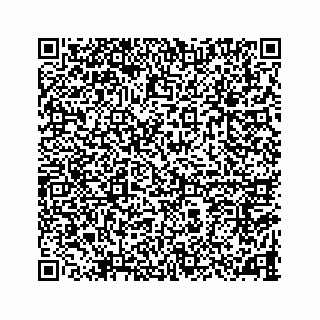 vCard 78787833319