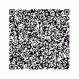 vCard 78787833329