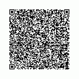 vCard 78787833341