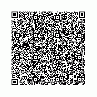 vCard 78787833349
