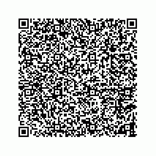 vCard 78787833351