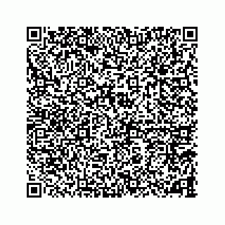 vCard 78787833358