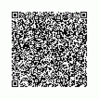vCard 78787833368