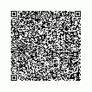 vCard 78787833369