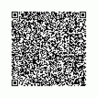 vCard 78787833371